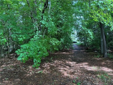 Come and build your dream home in one of the newer, most on Fords Colony Country Club in Virginia - for sale on GolfHomes.com, golf home, golf lot