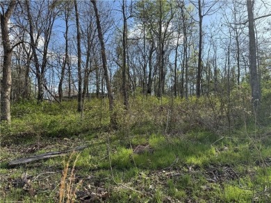 Build your dream home in Bella Vista. This listing includes lots on Bella Vista Country Club - Highlands in Arkansas - for sale on GolfHomes.com, golf home, golf lot