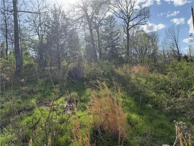 Build your dream home in Bella Vista. This listing includes lots on Bella Vista Country Club - Highlands in Arkansas - for sale on GolfHomes.com, golf home, golf lot