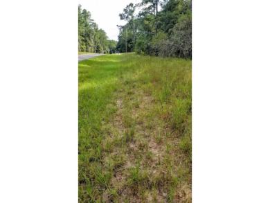 Nice elevation. NO HOA Rules & NO HOA fees $$$  NOT in a FLOOD on Citrus Springs Country Club in Florida - for sale on GolfHomes.com, golf home, golf lot