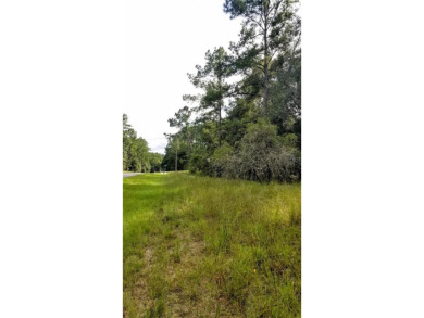 Nice elevation. NO HOA Rules & NO HOA fees $$$  NOT in a FLOOD on Citrus Springs Country Club in Florida - for sale on GolfHomes.com, golf home, golf lot