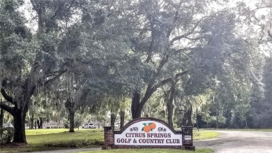Nice elevation. NO HOA Rules & NO HOA fees $$$  NOT in a FLOOD on Citrus Springs Country Club in Florida - for sale on GolfHomes.com, golf home, golf lot