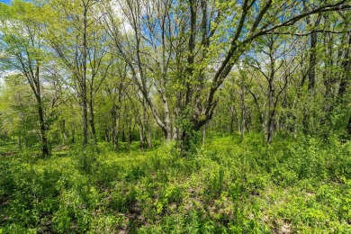 Spacious 5 acre parcel! Adjacent lot also available for a on Hawks View Golf Club in Wisconsin - for sale on GolfHomes.com, golf home, golf lot