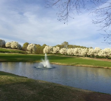 Live the Stoney Point Lake Greenwood Life! This gorgeously on The Links At Stoney Point in South Carolina - for sale on GolfHomes.com, golf home, golf lot