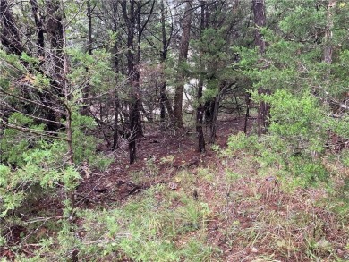 Build Your Multi-Family Investment Property in Holiday Island! 0 on Holiday Island Executive Golf Course in Arkansas - for sale on GolfHomes.com, golf home, golf lot