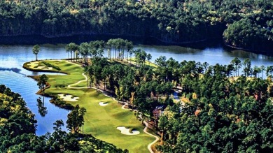 Welcome to the beautiful 2024 redesign of 341 Crown Point in the on Tara Golf Club At Savannah Lakes in South Carolina - for sale on GolfHomes.com, golf home, golf lot