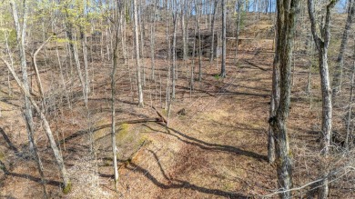 A charming cabin in the woods, move in ready, with 2 bedrooms, 1 on Hide-A-Way Hills Golf Club in Ohio - for sale on GolfHomes.com, golf home, golf lot