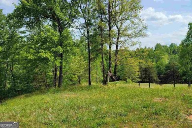 Located directly on the #1 fairway of the renowned Jim on Currahee Golf Club in Georgia - for sale on GolfHomes.com, golf home, golf lot
