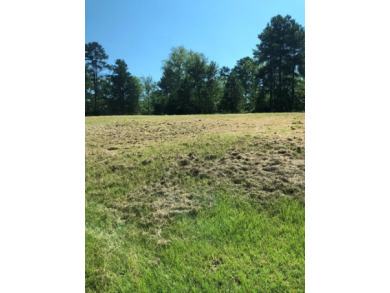Live The Lake Life! This almost 2 acre interior lot is nestled for sale on GolfHomes.com
