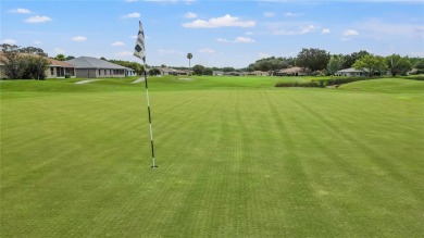 MOVE-IN READY and METICULOUSLY MAINTAINED home in the highly on Tampa Bay Golf and Country Club in Florida - for sale on GolfHomes.com, golf home, golf lot