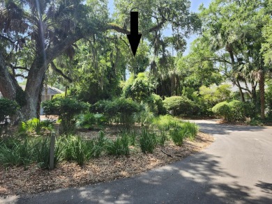 ****ATTENTION!!**** ONE OF THE ONLY ACTIVE BUILDING LOT on Kiawah Island Resort - Turtle Point in South Carolina - for sale on GolfHomes.com, golf home, golf lot