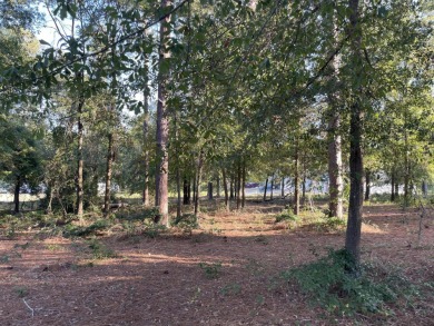 Welcome to Horse Creek, a well established neighborhood located on Midland Valley Country Club in South Carolina - for sale on GolfHomes.com, golf home, golf lot