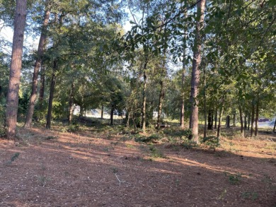 Welcome to Horse Creek, a well established neighborhood located on Midland Valley Country Club in South Carolina - for sale on GolfHomes.com, golf home, golf lot