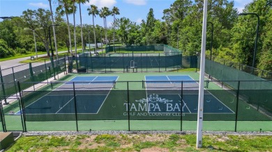 MOVE-IN READY and METICULOUSLY MAINTAINED home in the highly on Tampa Bay Golf and Country Club in Florida - for sale on GolfHomes.com, golf home, golf lot