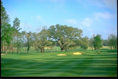 Build your dream home in this established community which sits on Money Hill Golf and Country Club in Louisiana - for sale on GolfHomes.com, golf home, golf lot