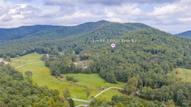 Welcome to Farm Estate Lot 3 at Silver Run Reserve, a rare on Headwaters Golf Club in North Carolina - for sale on GolfHomes.com, golf home, golf lot