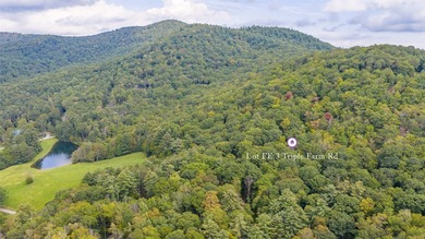 Welcome to Farm Estate Lot 3 at Silver Run Reserve, a rare on Headwaters Golf Club in North Carolina - for sale on GolfHomes.com, golf home, golf lot
