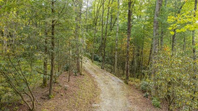 Welcome to Farm Estate Lot 3 at Silver Run Reserve, a rare on Headwaters Golf Club in North Carolina - for sale on GolfHomes.com, golf home, golf lot