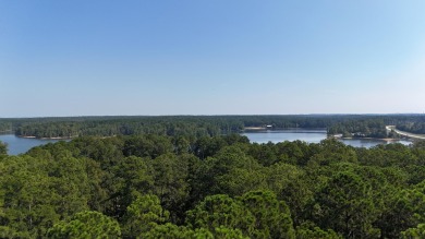 CHECK OUT THE PRIVACY YOU GET WITH THIS HOMESITE! Common on Monticello Golf Club At Savannah Lakes in South Carolina - for sale on GolfHomes.com, golf home, golf lot