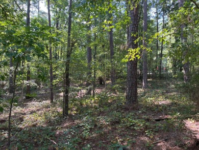 CHECK OUT THE PRIVACY YOU GET WITH THIS HOMESITE! Common on Monticello Golf Club At Savannah Lakes in South Carolina - for sale on GolfHomes.com, golf home, golf lot