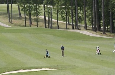 CHECK OUT THE PRIVACY YOU GET WITH THIS HOMESITE! Common on Monticello Golf Club At Savannah Lakes in South Carolina - for sale on GolfHomes.com, golf home, golf lot