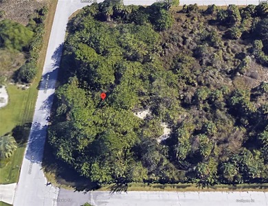 Prime Buildable, Port Charlotte lot with great Location on Riverwood Golf Club in Florida - for sale on GolfHomes.com, golf home, golf lot