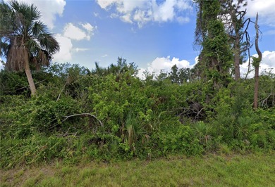 Prime Buildable, Port Charlotte lot with great Location on Riverwood Golf Club in Florida - for sale on GolfHomes.com, golf home, golf lot