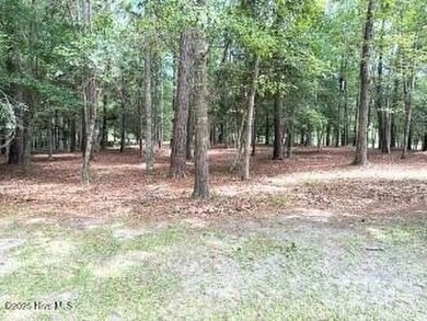 Come build your dream home in a highly sought-after neighborhood on Rivers Edge Golf Club in North Carolina - for sale on GolfHomes.com, golf home, golf lot