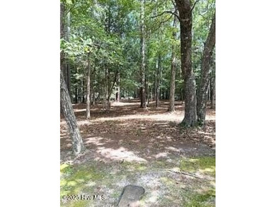 Come build your dream home in a highly sought-after neighborhood on Rivers Edge Golf Club in North Carolina - for sale on GolfHomes.com, golf home, golf lot