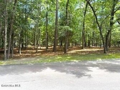 Come build your dream home in a highly sought-after neighborhood on Rivers Edge Golf Club in North Carolina - for sale on GolfHomes.com, golf home, golf lot