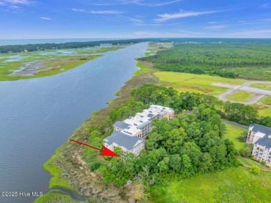 Experience stunning waterfront living at The Preserves at Oak on South Harbour Golf Links in North Carolina - for sale on GolfHomes.com, golf home, golf lot