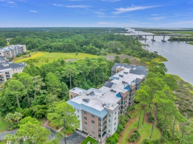 Experience stunning waterfront living at The Preserves at Oak on South Harbour Golf Links in North Carolina - for sale on GolfHomes.com, golf home, golf lot