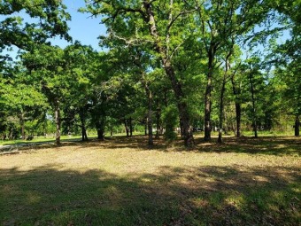 This beautiful oversized lot (~.30 acre) sits on the corner of a on Star Harbor Golf Club in Texas - for sale on GolfHomes.com, golf home, golf lot