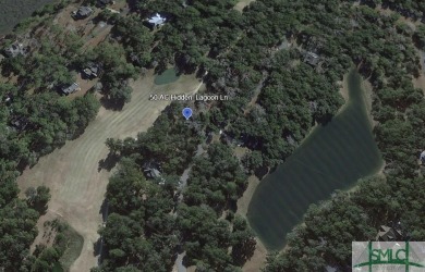 Discover the perfect opportunity to build your dream home or on Sapelo Hammock Golf Club in Georgia - for sale on GolfHomes.com, golf home, golf lot