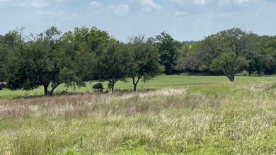 $10K PRICE IMPROVEMENT!!  Exceptional single-family with on The Club At Comanche Trace in Texas - for sale on GolfHomes.com, golf home, golf lot
