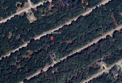 BUILD YOUR DREAM HOME IN THE PRESTIGIOUS GATED COMMUNITY OF on White Bluff Resort - Old Course in Texas - for sale on GolfHomes.com, golf home, golf lot