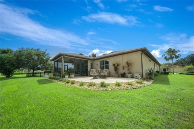 Throughout the day, you can experience awe-inspiring views in on Stone Creek Golf Club in Florida - for sale on GolfHomes.com, golf home, golf lot