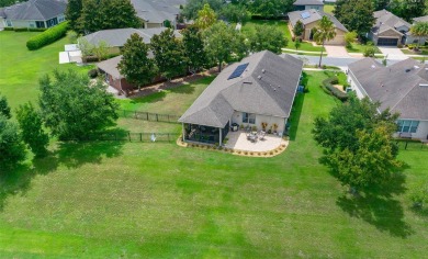 Throughout the day, you can experience awe-inspiring views in on Stone Creek Golf Club in Florida - for sale on GolfHomes.com, golf home, golf lot