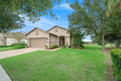 Throughout the day, you can experience awe-inspiring views in on Stone Creek Golf Club in Florida - for sale on GolfHomes.com, golf home, golf lot