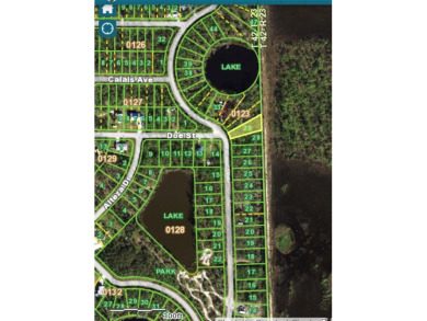 Great privacy lot, no rear neighbors with small water view. With on Seminole Lakes Country Club in Florida - for sale on GolfHomes.com, golf home, golf lot