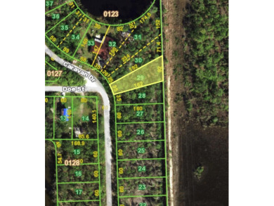 Great privacy lot, no rear neighbors with small water view. With on Seminole Lakes Country Club in Florida - for sale on GolfHomes.com, golf home, golf lot