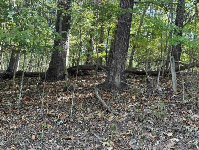 Great residential lot to build a custom home on the golf course on The Trail At Chickasaw Pointe in South Carolina - for sale on GolfHomes.com, golf home, golf lot