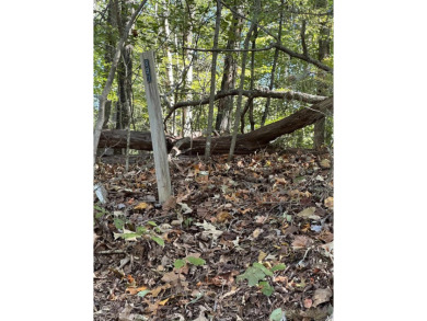 Great residential lot to build a custom home on the golf course on The Trail At Chickasaw Pointe in South Carolina - for sale on GolfHomes.com, golf home, golf lot