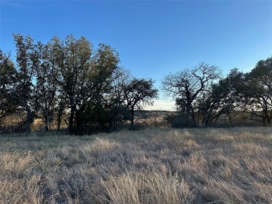 Discover your dream property with Lot 815 on Feather Bay Drive on Hideout Golf Club and Resort  in Texas - for sale on GolfHomes.com, golf home, golf lot
