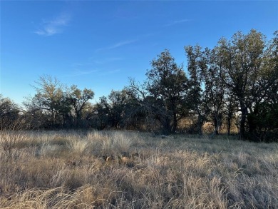 Discover your dream property with Lot 815 on Feather Bay Drive on Hideout Golf Club and Resort  in Texas - for sale on GolfHomes.com, golf home, golf lot