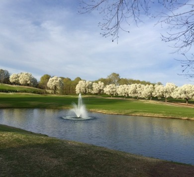 Breathtaking, big water views from this gorgeous homesite in the on The Links At Stoney Point in South Carolina - for sale on GolfHomes.com, golf home, golf lot