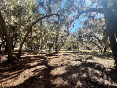 Beautiful Homesite on the golf course in Sutherland Bluff! on Sapelo Hammock Golf Club in Georgia - for sale on GolfHomes.com, golf home, golf lot