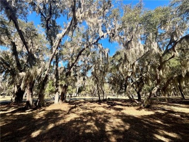 Beautiful Homesite on the golf course in Sutherland Bluff! on Sapelo Hammock Golf Club in Georgia - for sale on GolfHomes.com, golf home, golf lot