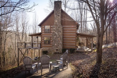LAKE FRONT,LAKE VIEW & NEW DOCK 2022!PRIVATE - ON 1.23 ACRES! on Barren River State Park Golf Course in Kentucky - for sale on GolfHomes.com, golf home, golf lot