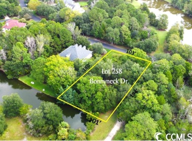 This near half-acre lot with wonderful 4.5 acre pond frontage is on DeBordieu Country Club in South Carolina - for sale on GolfHomes.com, golf home, golf lot